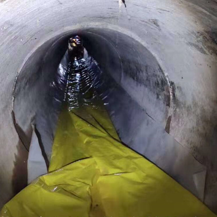 兴隆华侨农场管道光固化修复