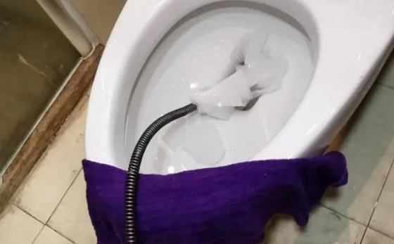 兴隆华侨农场马桶疏通